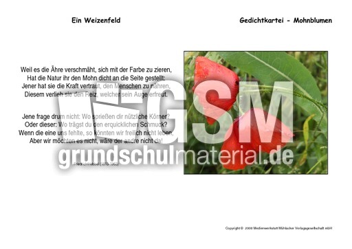 Ein-Weizenfeld-Hebbel.pdf